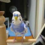空っぽ　～30歳からの自分探し～