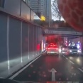 運転中、巨大なキリンが襲来する珍事