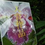 第37回 新宿御苑洋らん展へ⑬(2025年11月)