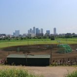 『「一枚岩でない野球」への読者のコメント1｜野球があぶない！』の画像