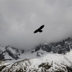 30代共働き家庭の夫が行う家計管理