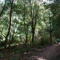眠い＆暑い。――　くろんど園地と交野山