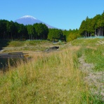 富士山トンボ池通信