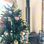 ボーシュマン日記