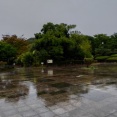 9/5  雨の公園、出会った女性たちとおしゃべりタイム（悌）