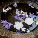 京都 蘆山寺 花手水 と 西利 京のあっさり漬2025