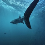 あしびよーら！ブログ