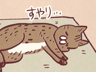 い草マット効果