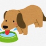 【炎上】Facebook民、フジテレビ番組による撮影で愛犬を亡くしたと主張  → その内容に対し、様々な声が殺到