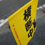 『旗振り』の画像