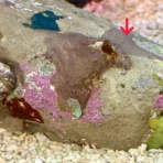 Beach Field　いいかげん日記帳Ⅲ