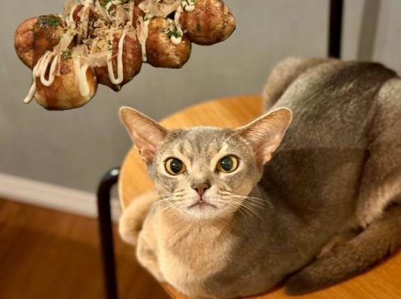 連休はじめは、たこ焼きの夜ごはん🐙