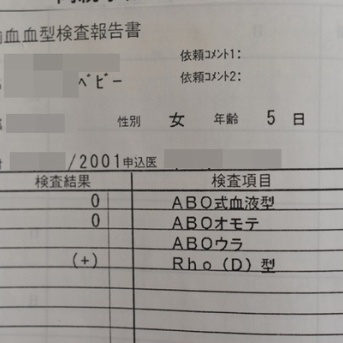 【24年間信じていた娘の血液型】母子手帳の記載とThreadsで知った意外な事実＆明日から楽天スーパーSALE！（記事下にPR含）