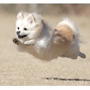 1-10-1　小田桐　あむちゃん　3歳