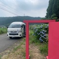 紫陽花ドライブ！