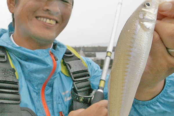 水軒でシーバス釣りを大成功させる方法