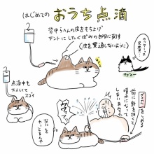 やっちゃん おまとめページ 148433-8-
