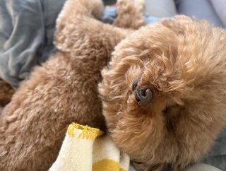 うっかり忘れてた「自分」を許せた朝