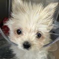 ICUのニモちゃん、、、