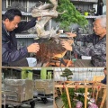 日本へ盆栽の素材を❗️台湾からの輸送‼️