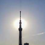 元日本橋女社長の奮闘ブログ