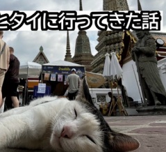 速報！！母とタイに行ってきました