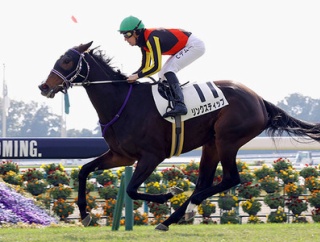 【エリザベス女王杯】リンクスティップ2番人気とは何だったのか