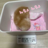 『すくすく♡』の画像