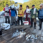 FP志摩公式blog