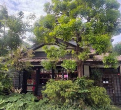 西荻窪　「松庵文庫」