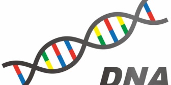 【修羅場】母「お前達兄妹は全員父親が違うのよ。母さんモテたから」→ DNA鑑定した結果、俺以外全員父親が違った上に次女の父親が三男だった