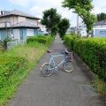 廃線探しの炎天下サイクリング
