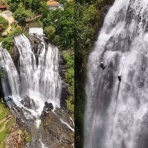 Nicheee! [ニッチー！]　｜　テレビリサーチ会社がお届けする情報サイト