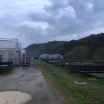 yuika～結花～Hanayoshiの毎日