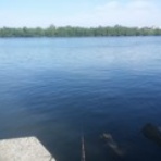 飲ん兵衛オヤジの独りごと