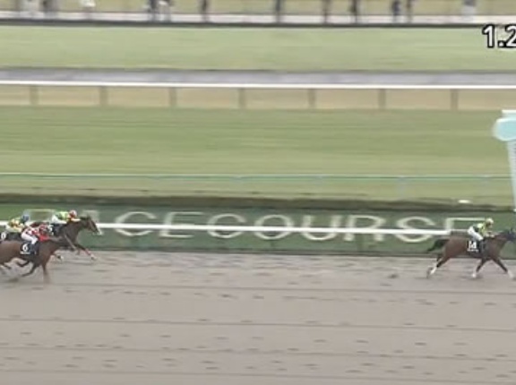 【オキザリス賞】サトノボヤージュ強すぎワロタwww