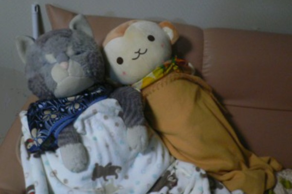 なしかん にょきりん なしかん にょきりん