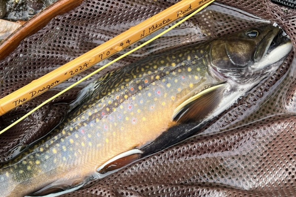 横田ロッド　TN244 6f6in ♯3 J.Yokota maker 1030 横田ロッド TN244 6f6in ♯3 J.Yokota maker 1030 Amazon.com: 1/4