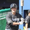 【朗報】日ハム小笠原コーチ、台湾の至宝・王柏融を復活させてしまう
