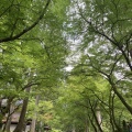 🏔『妻と娘と福井旅｜静寂に包まれた禅の聖地・永平寺へ ～娘が「また来たい」と言った場所～』（福井県永平寺町）