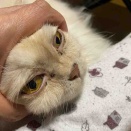 がっちゃんの顔、ひどーいっ‼️