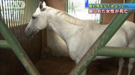 馬に蹴られ女性死亡　なだめようとし近づく…長野