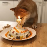 イッヌ「2歳になりましたンゴ」