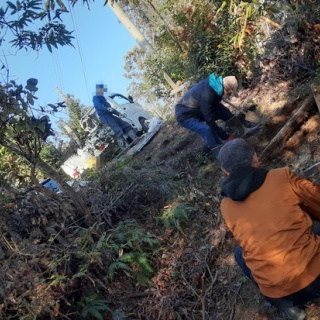 章姫イチゴと有機JAS朝日米　MERRY BERRY