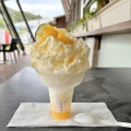 ＼夏季限定スイーツが今年も登場／7月2日より、中村製菓本舗さまの「贅沢生ソースのかき氷」提供が始まります