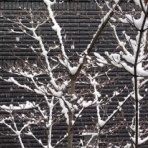 夫婦スポーツ観戦記！