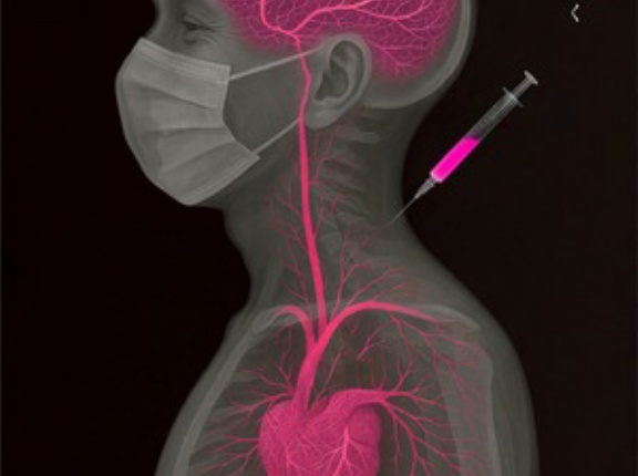 映画　「WHO？」