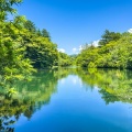 夏季休暇のお知らせ