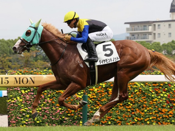 【競馬予想】第61回京王杯2歳ステークス(GⅡ) /2025