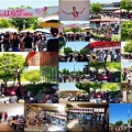 今回は、5/17(日)に「第59回〝福山ばら祭2026〟」行きのGONsanでした(^.-)☆(04)